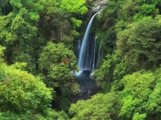 Paket Tour Air Terjun Tiu Kelep One Day Trip