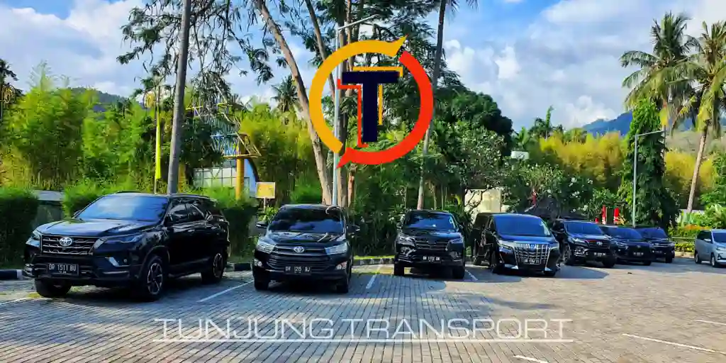 A row of Tunjung Transport rental cars